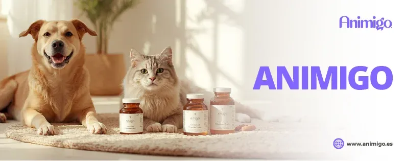 animigo discount code - coupondopa